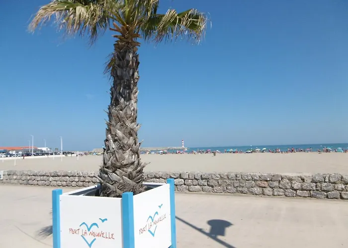 Villa T2 Cosy, 40m², 4 Pers, Proche Plage, 2 Terrasses, Equipe, Calme Et Commerces A Proximite - Fr-1-797-53 *