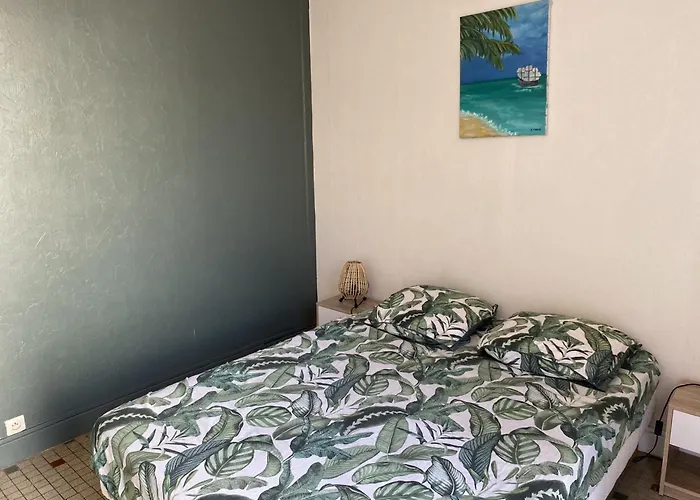 Villa T2 Cosy, 40m², 4 Pers, Proche Plage, 2 Terrasses, Equipe, Calme Et Commerces A Proximite - Fr-1-797-53