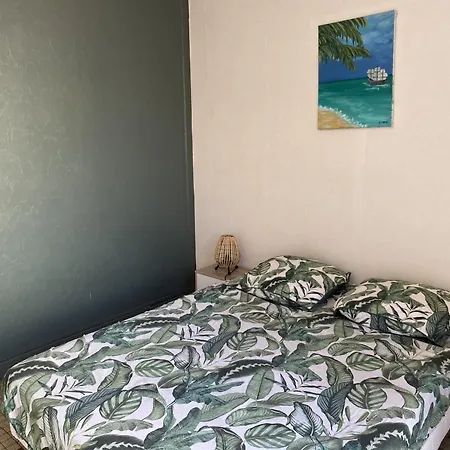 Villa T2 Cosy, 40m², 4 Pers, Proche Plage, 2 Terrasses, Equipe, Calme Et Commerces A Proximite - Fr-1-797-53